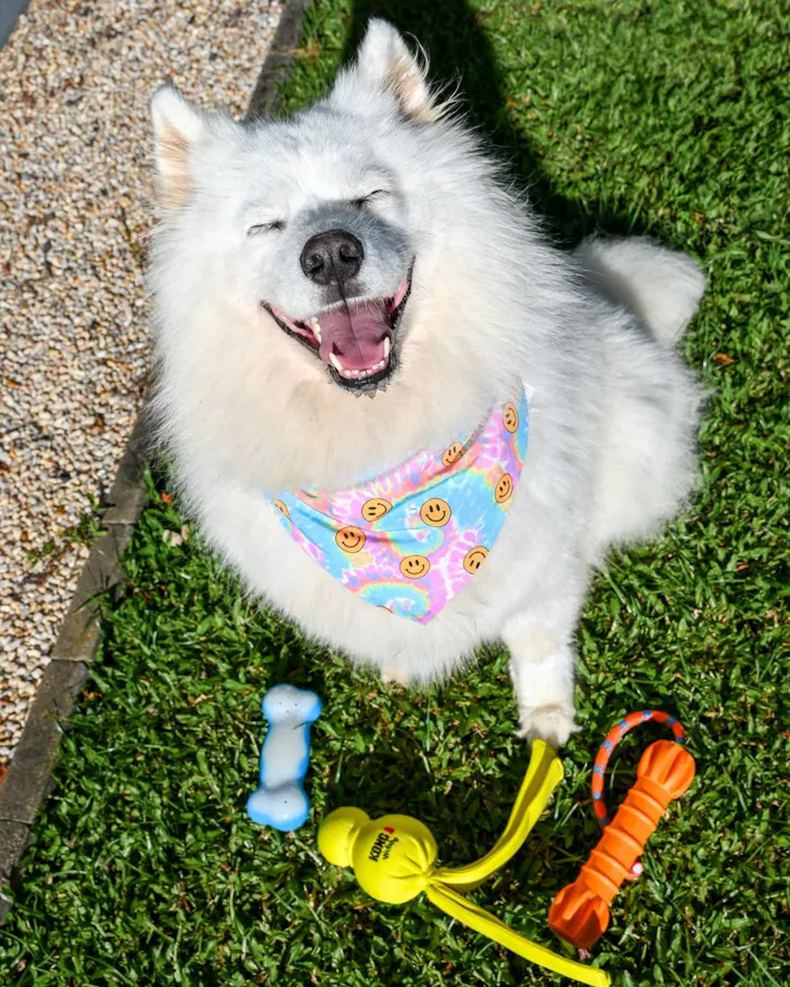 Pet Barn Afterpay Day deals