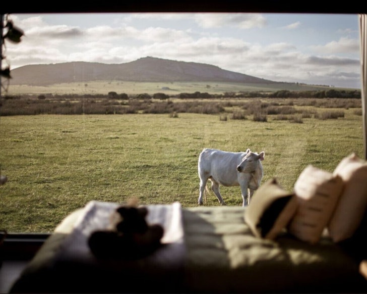 A view from the window of Peter The Tiny Cabin best tiny home stays WA