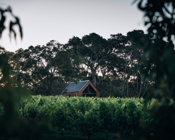 A view of Petit Eco Cabin surrounded by vines, one of the best romantic getaways WA