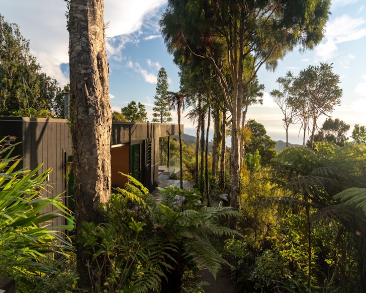 A view of Piha Retreat cabin surrounded by trees, best New Zealand winter cabins