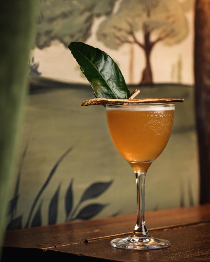 A cocktail from Pineapple on Parnell, one of the best bars in Parnell.