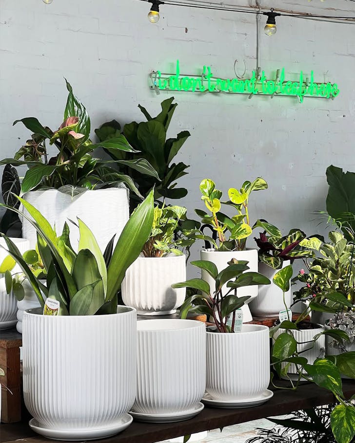 the borrowed nursery