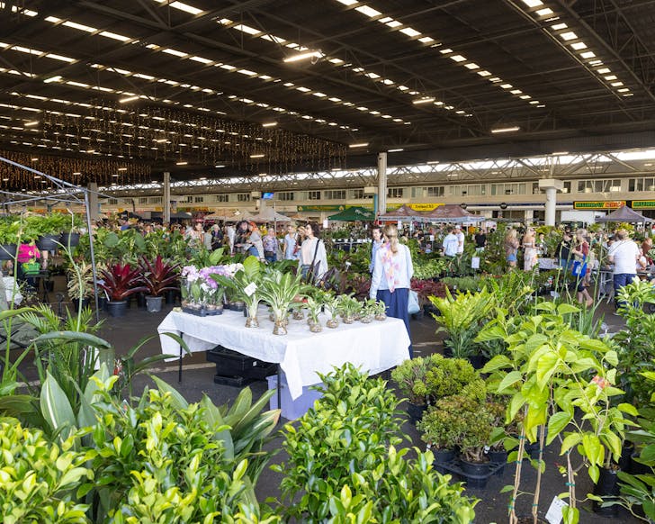 plantapalooza
