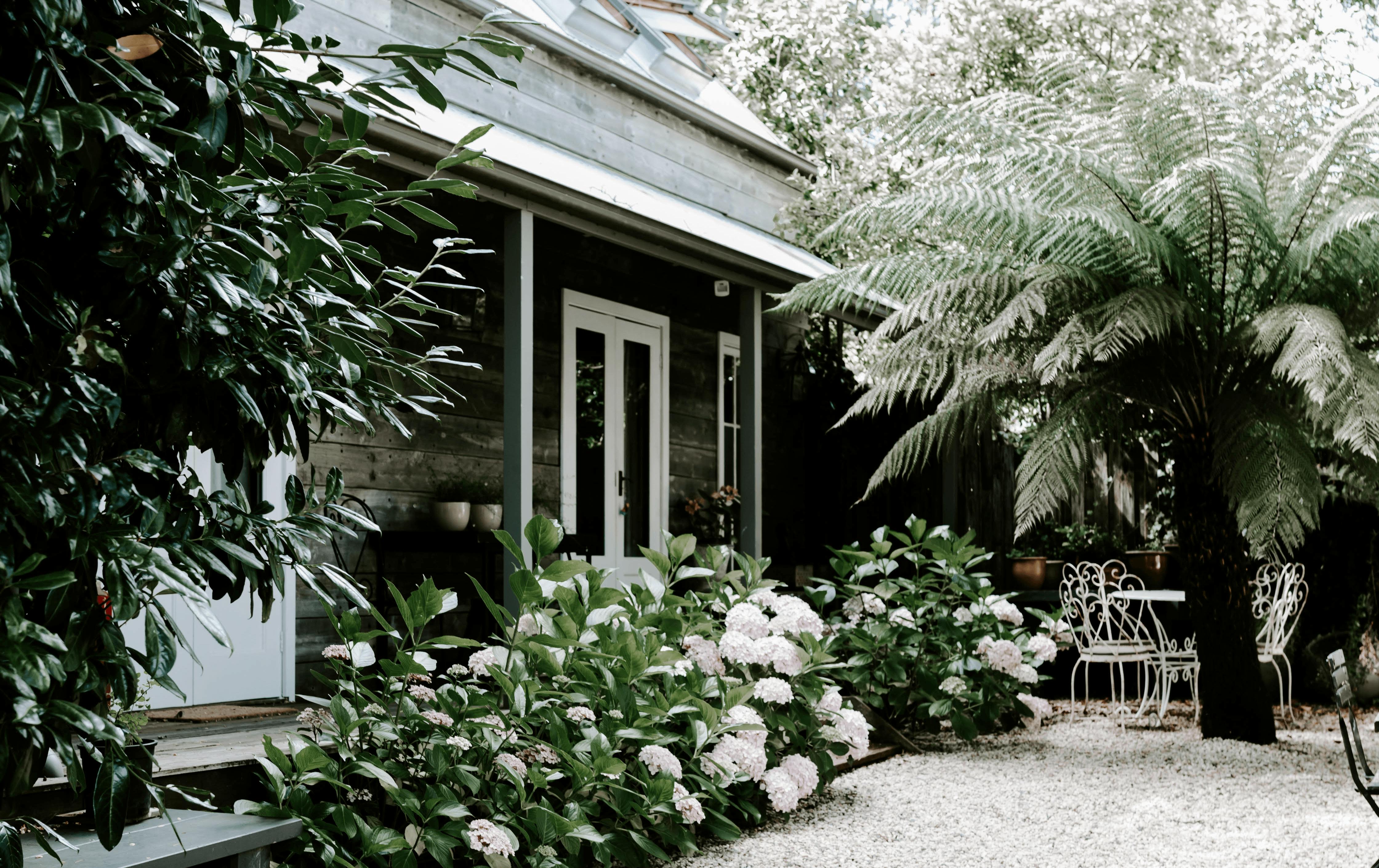 A house surrounded by lush plants with a solar panel on the roof.
