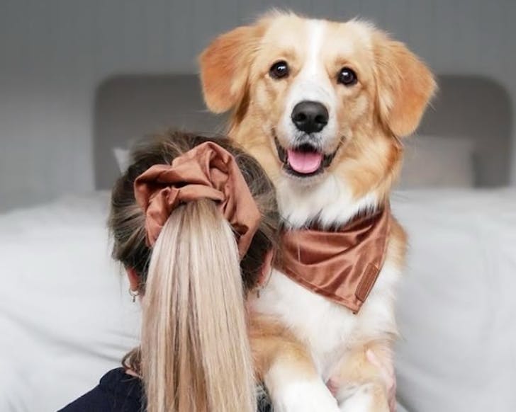 A woman wears a velvet scrunchy that matches her puppyâs bandana. 