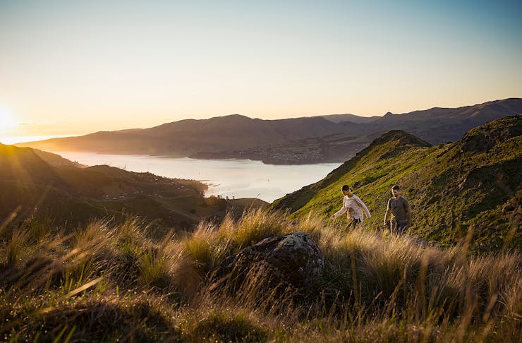 Two people tramp on the Port Hills overlooking Christchurch at dusk.