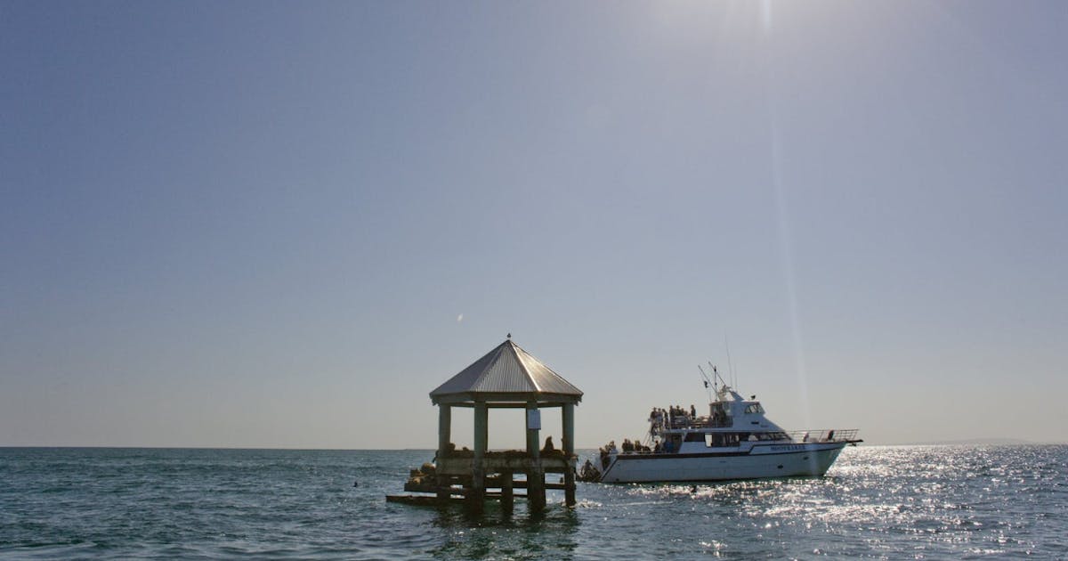 Over Million Has Been Approved To Protect Port Phillip Bay Over Million Has Been Approved To Protect Port Phillip Bay