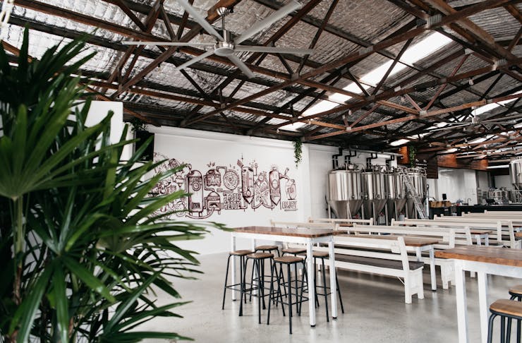 an industrial style warehouse interior with graffitied walls, long benches and plants