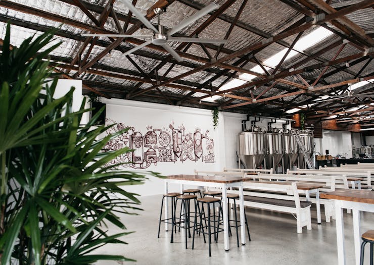 an industrial style warehouse interior with graffitied walls, long benches and plants