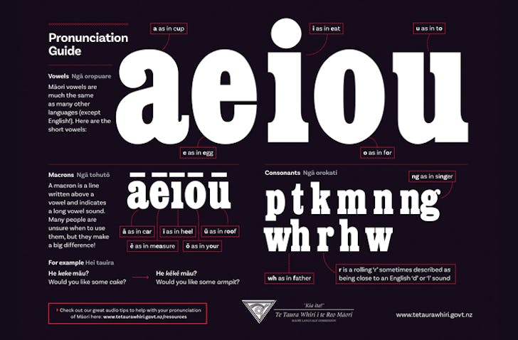 A pronunciation guide to the MÄori Language, with references to vowel sounds, constants and macrons
