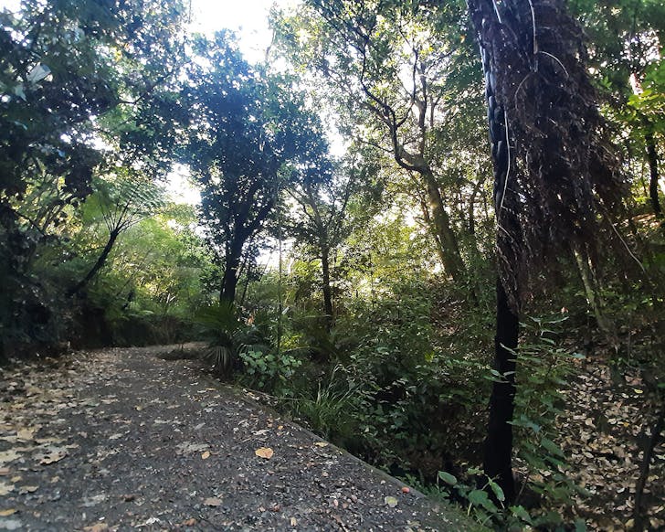 A remote spot tucked away in Auckland Domain, one of the best parks in Auckland.