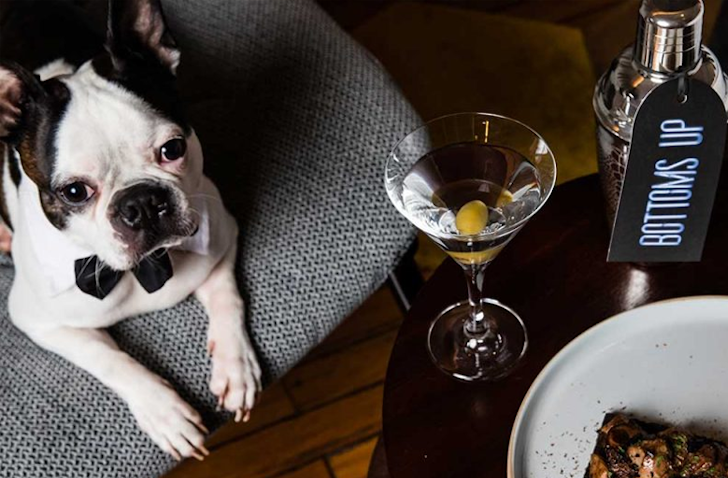 A dog wearing a bowtie sits on a pet bed looking up to a table with a martini on it.