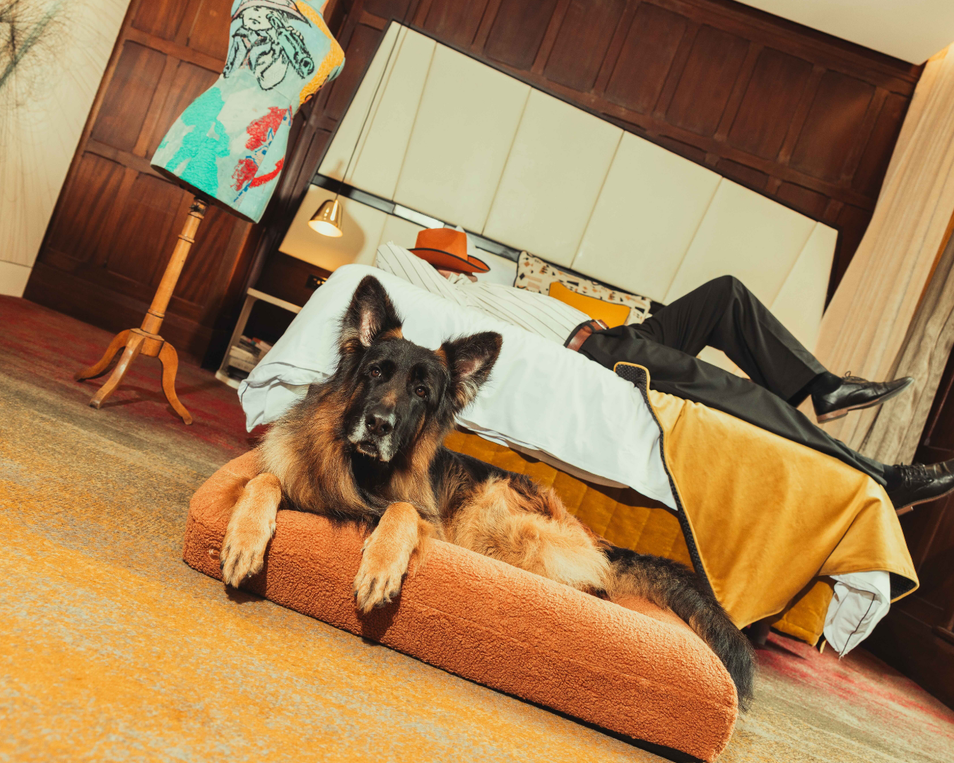 pup yeah! QT hotels sydney dog-friendly stays