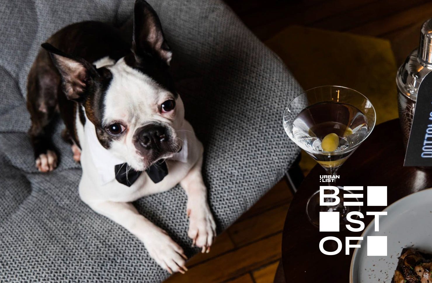 A dog in a bowtie perched on his bed posed next to dinner and a martini enjoying QT's Pup Yeah package