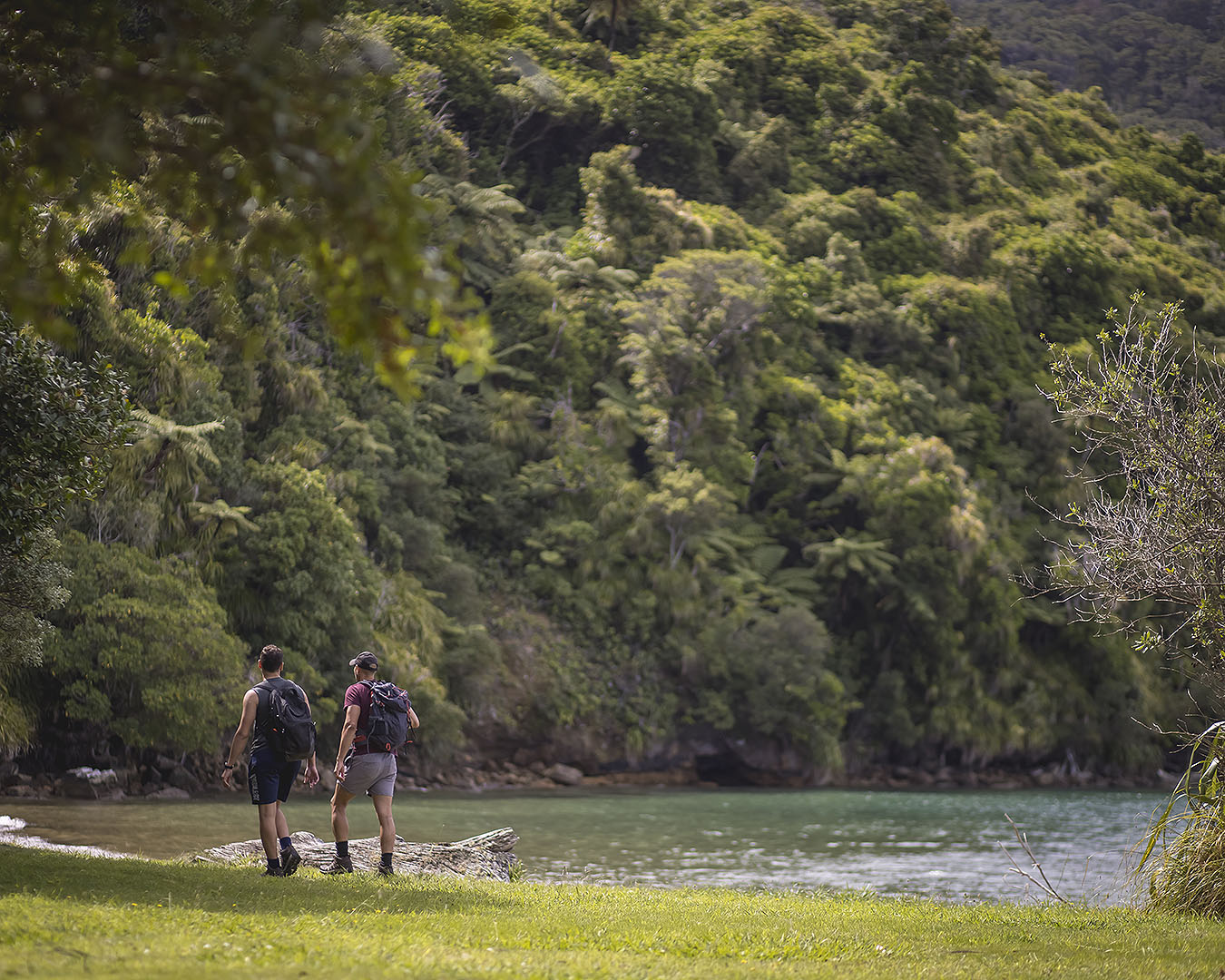 Two people walk by the water on The Queen Charlotte Track.