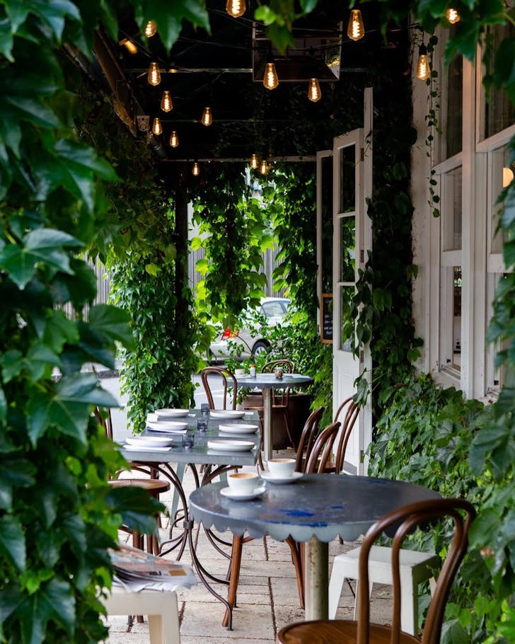 The ivy-clad exterior of Queenies Caffe & Wine Bar, one of the best bars in Auckland. 