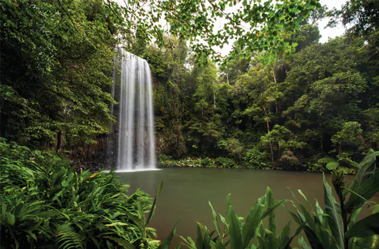 8 Beautiful Queensland Waterfalls To Hunt Down | URBAN LIST BRISBANE
