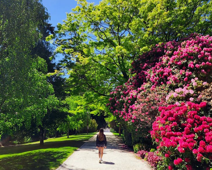 A woman walks down a path lined with botanicals at the Queenstown Gardens