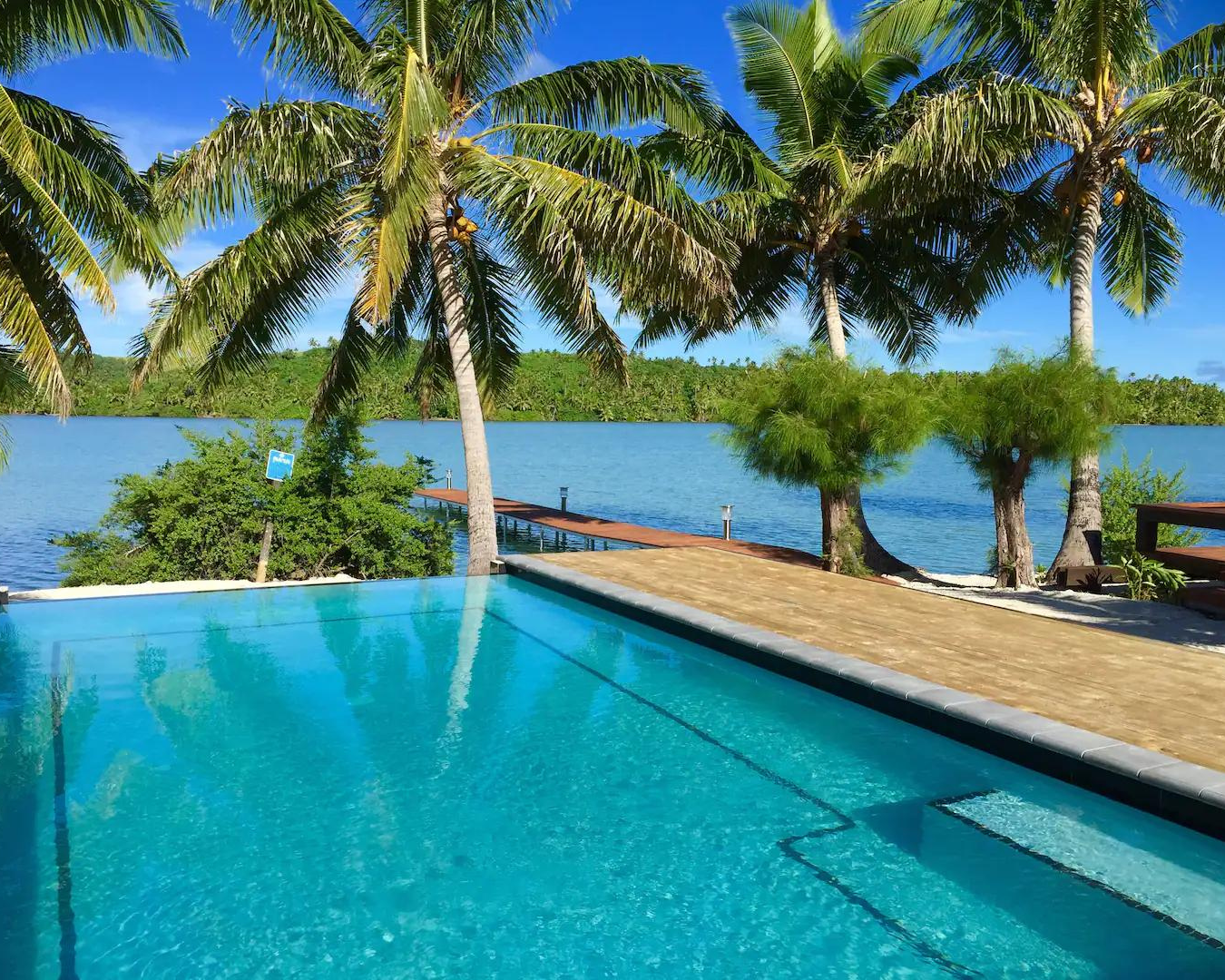 An infinity pool drops over the edge surrounded by palm trees.
