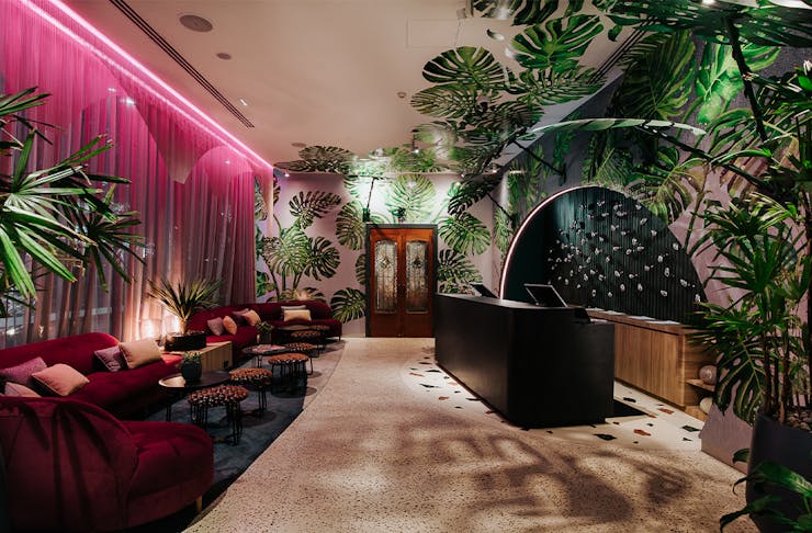 Inside of Ovolo The Valley's Jungle inspired lobby