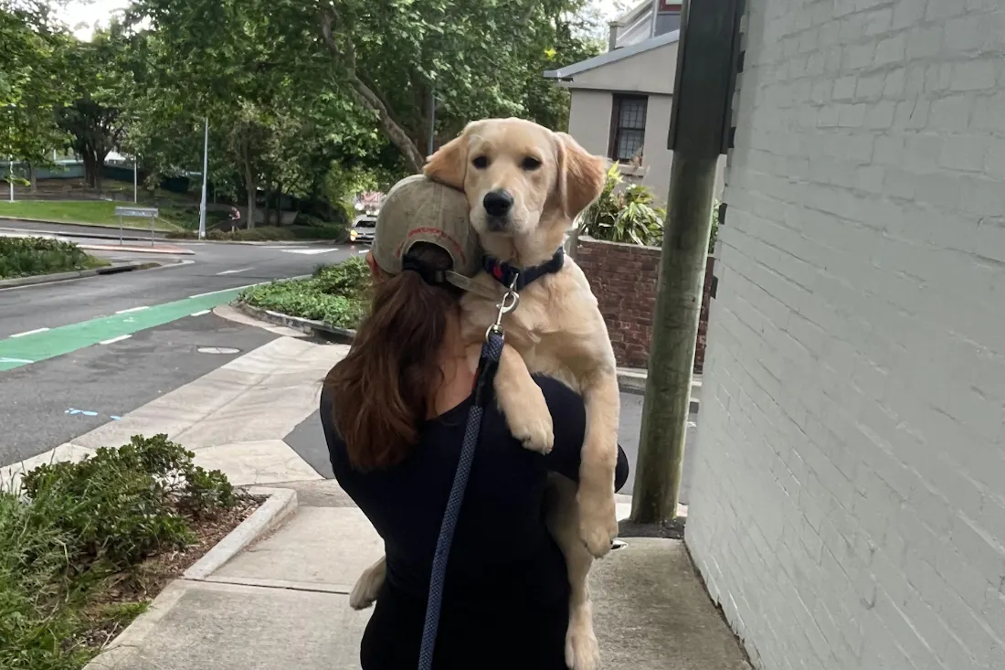 The Science Behind Your Dog’s Quirks, And How To Help Them Thrive The Science Behind Your Dog’s Quirks, And How To Help Them Thrive