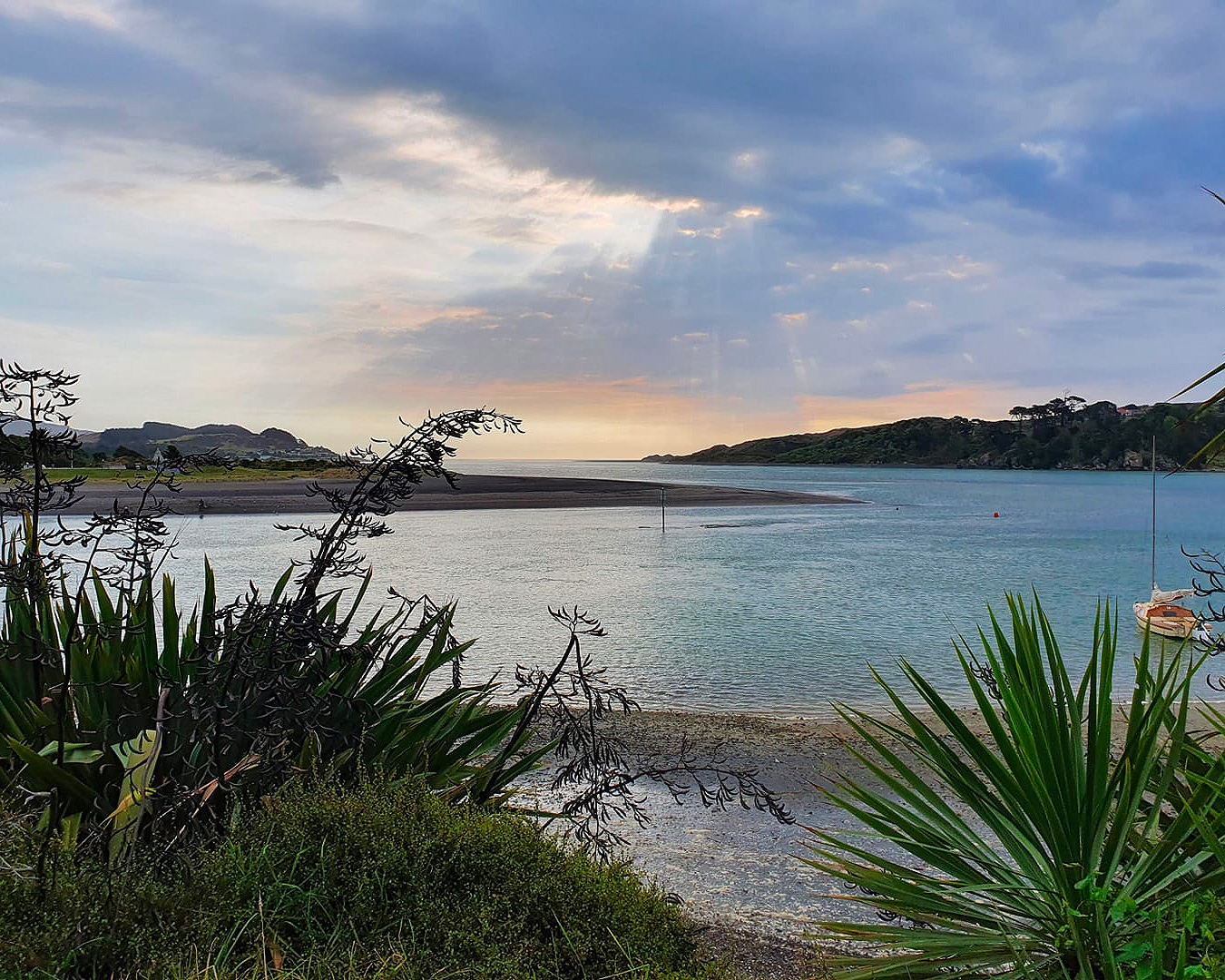 A view from the Raglan Holiday Park, one of the best camp grounds within driving distance of Auckland.