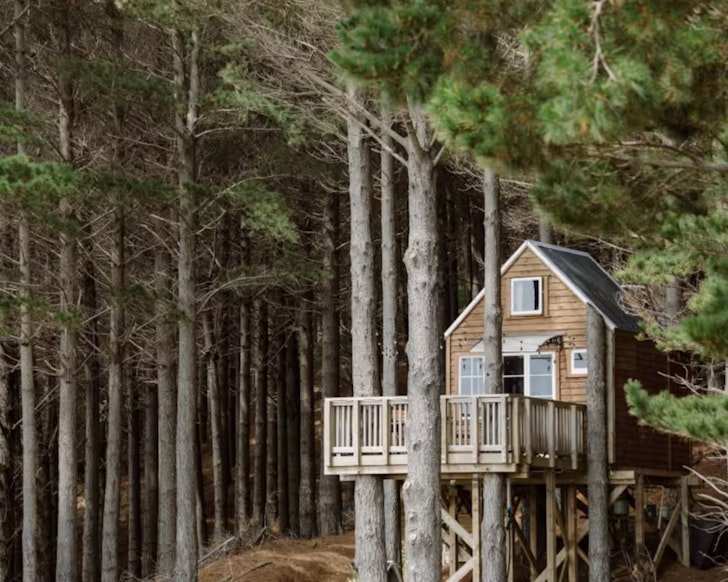 A view of the Treehouse in the Woods one of the best NZ Airbnbs