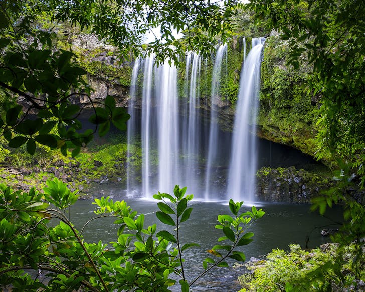 The stunning Rainbow Falls in the Bay Of Islands.