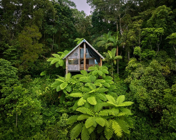 A view of Rainforest Treehouse best treehouse stays Queensland
