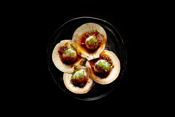 Oysters laid out with vibrant colours
