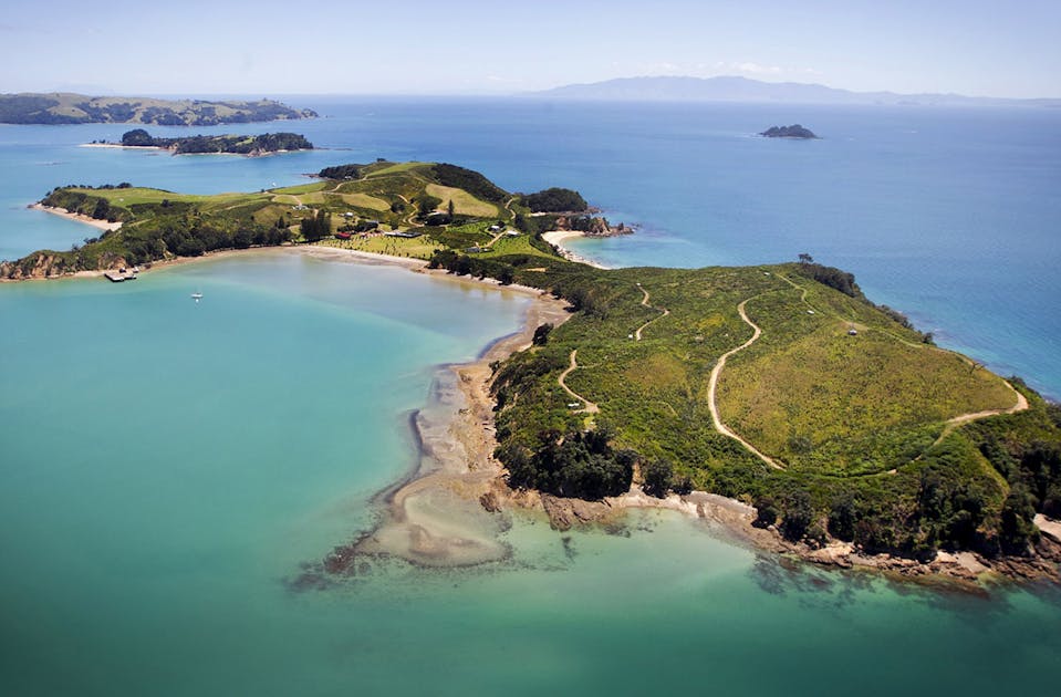 rotoroa island day trip