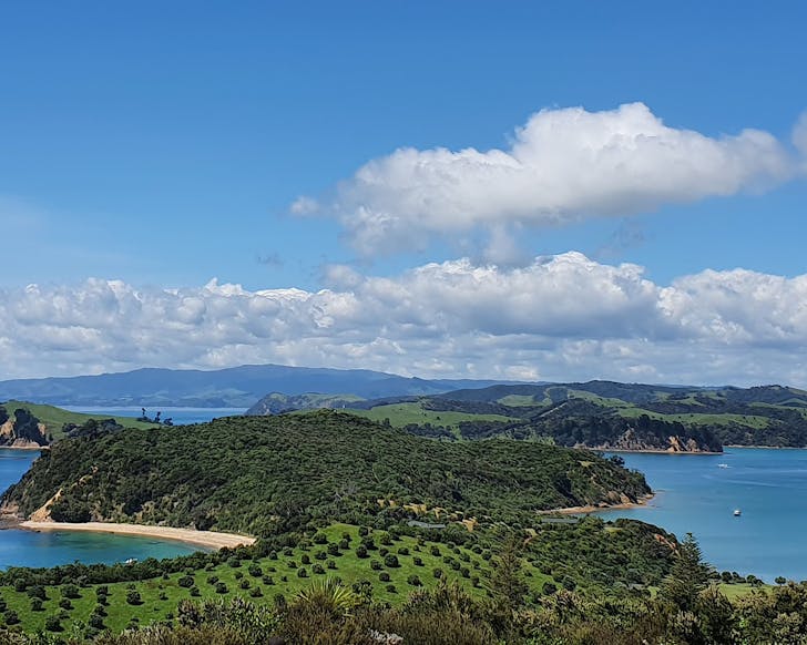 Glorious Rotoroa Island, peppered with trees and lined with hidden beaches. 