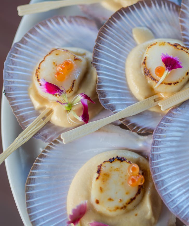 Scallops on cauliflower puree