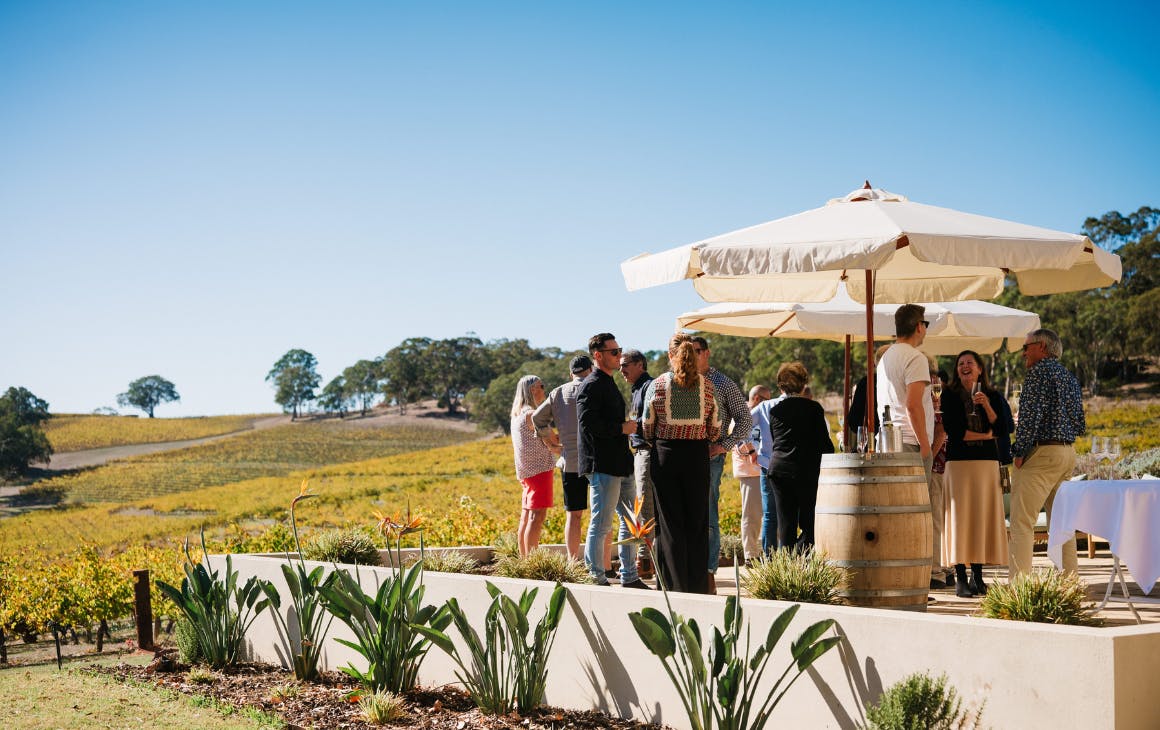 winery in south australia for tasting australia