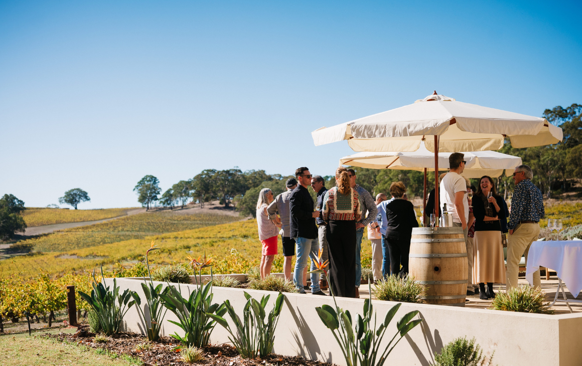 winery in south australia for tasting australia