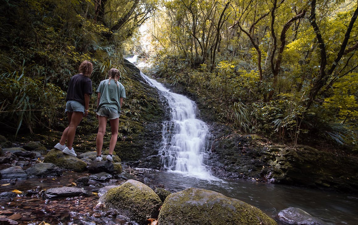 People clambering over rocks at Dunedin's Ross Creek