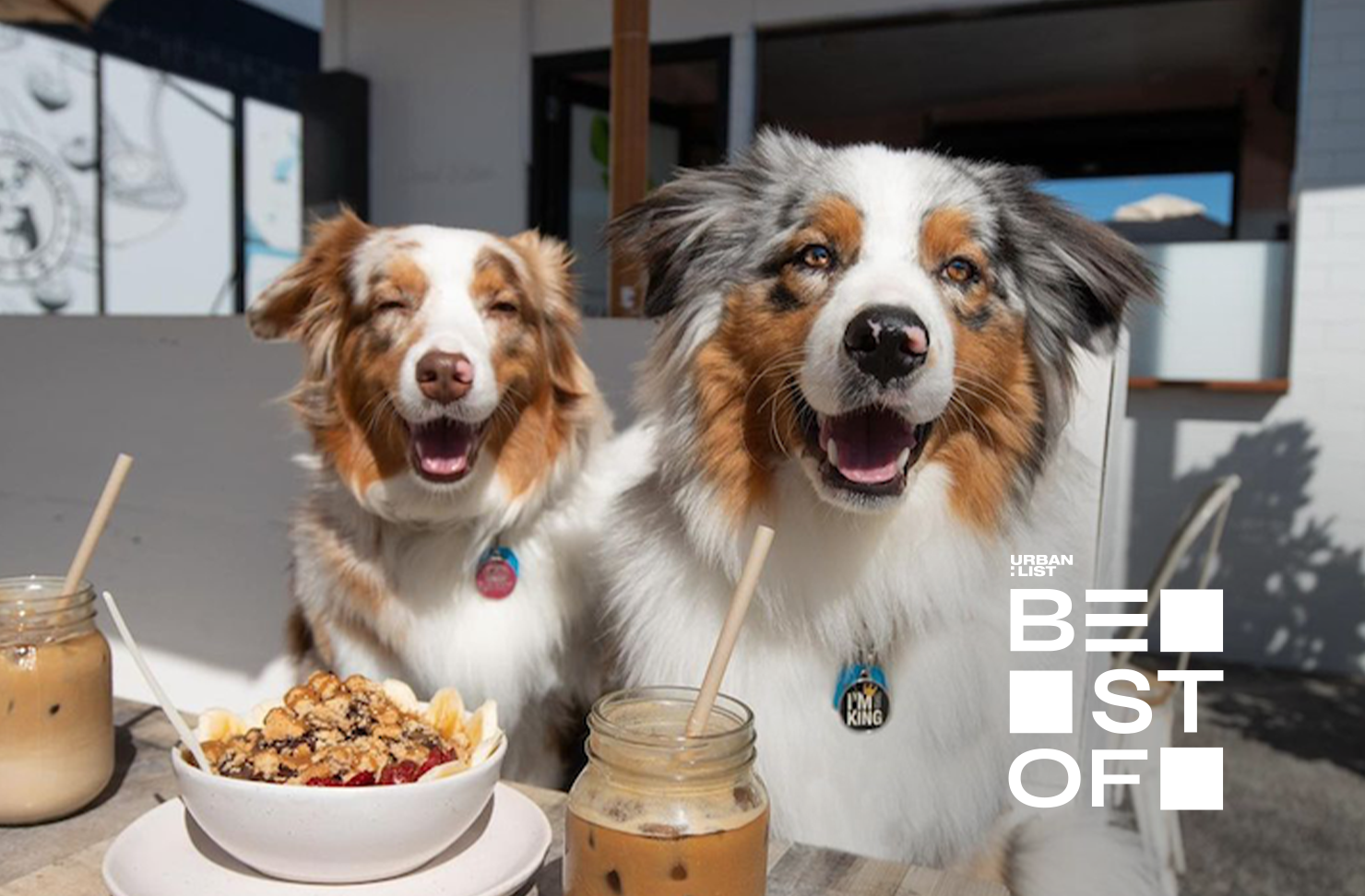 Best Of The Sunshine Coast URBAN LIST SUNSHINE COAST