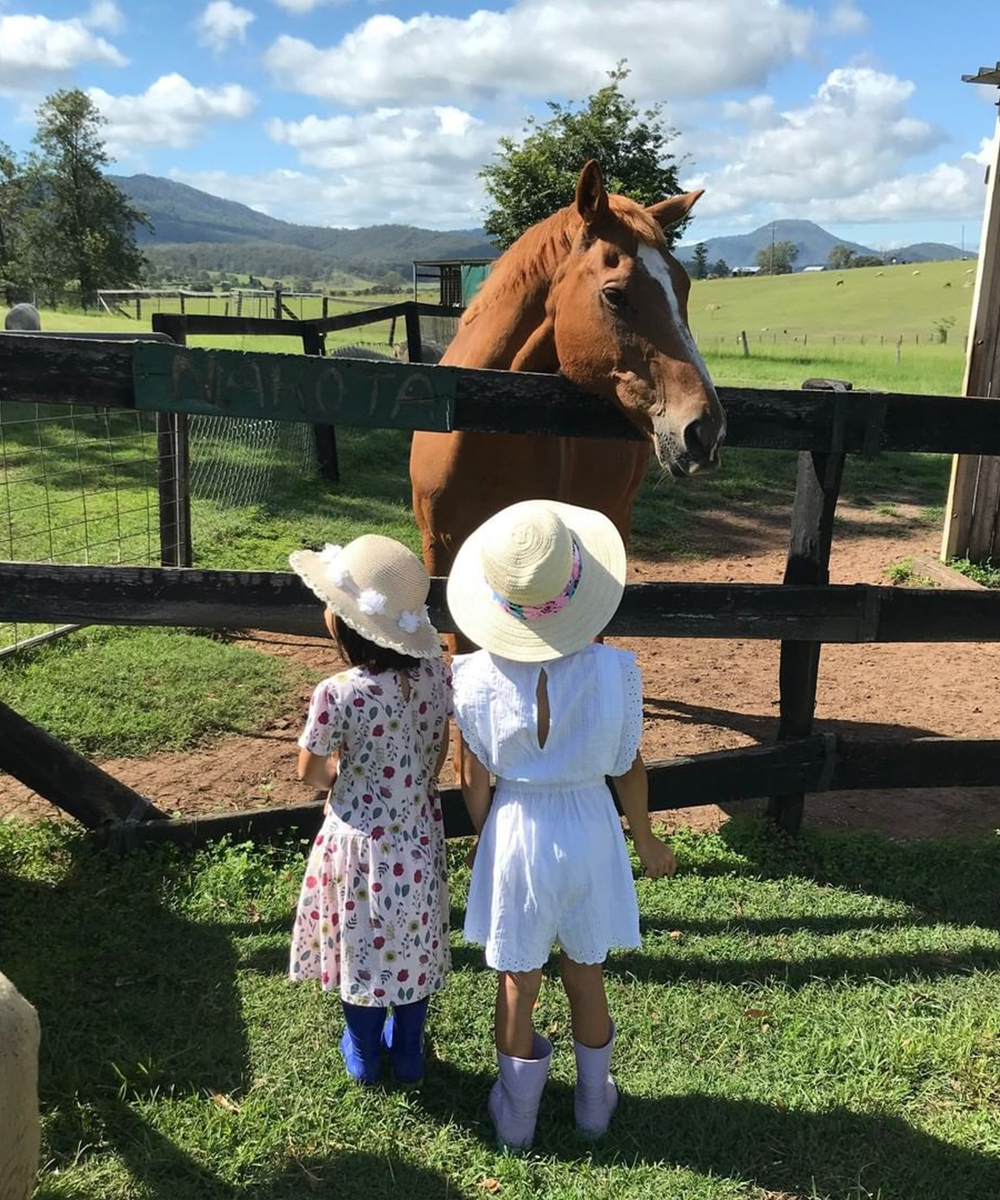 horses leaning over children on. a farmstay