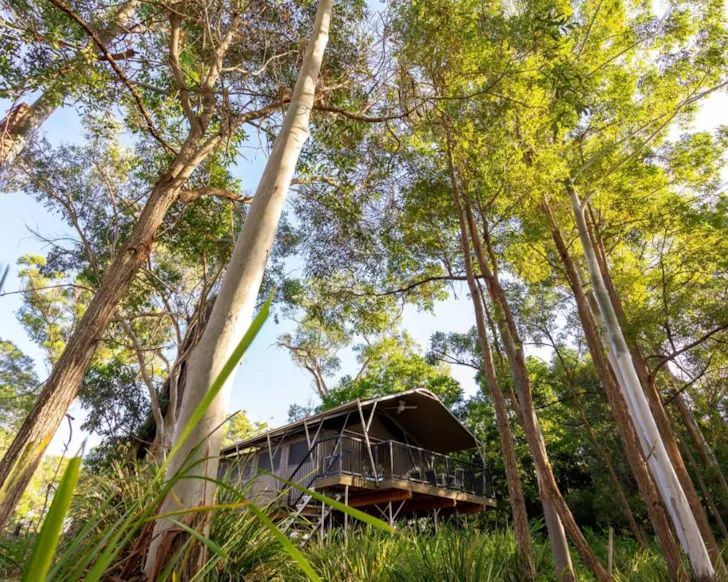 A view of a tent at Sanctuary by Sirromet best glamping near Brisbane