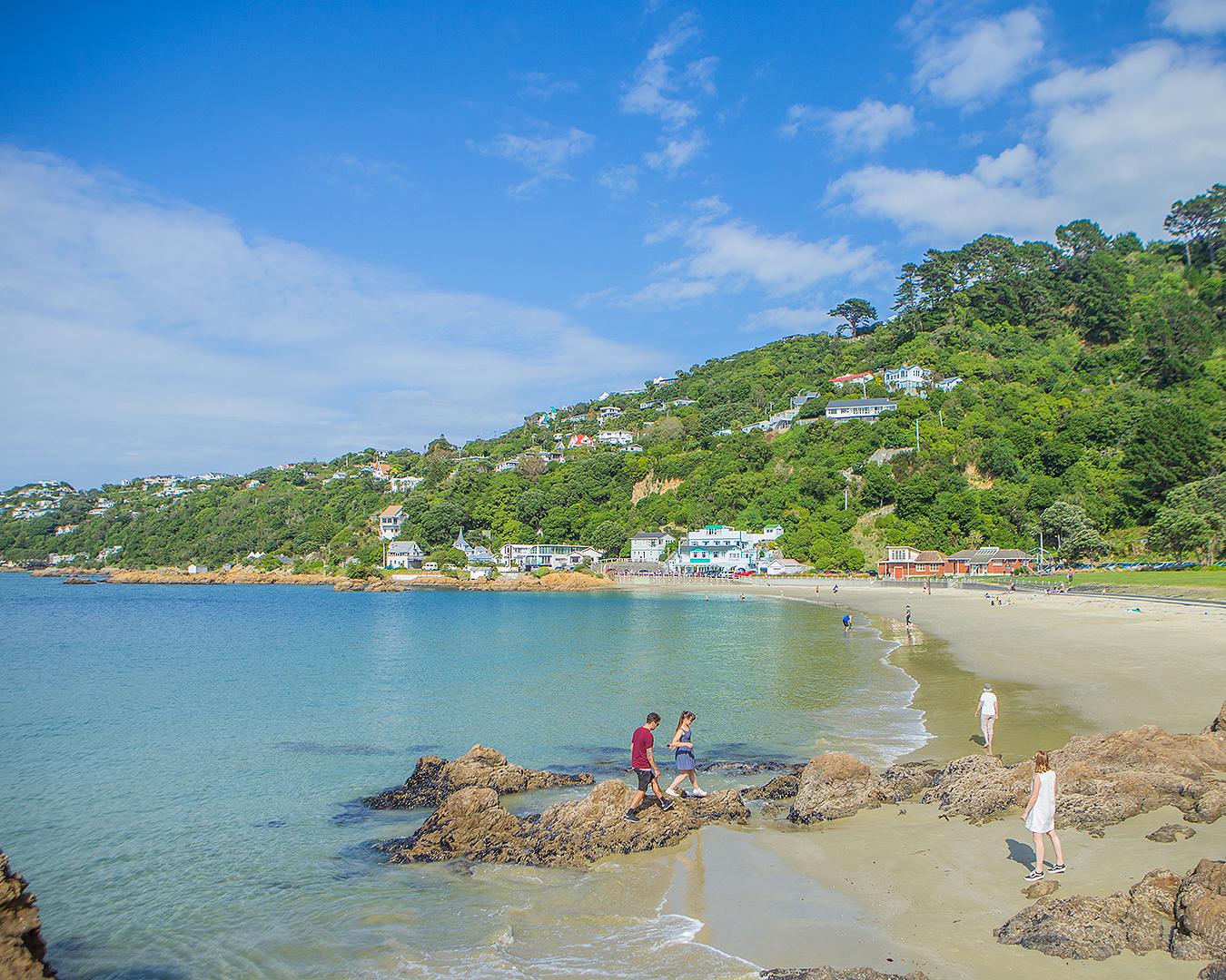 Scorching Bay in Wellington looks idyllic