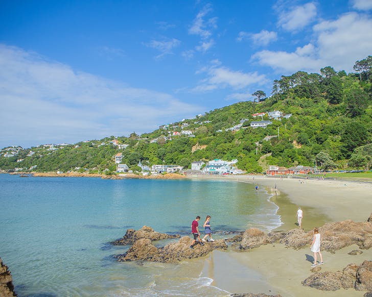Scorching Bay in Wellington looks idyllic