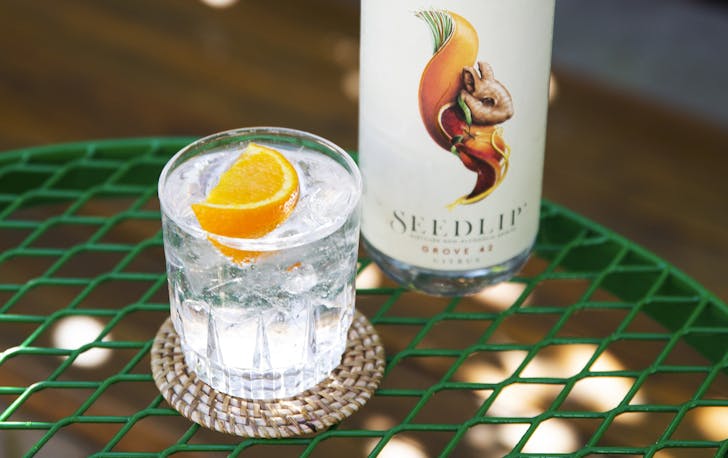 A Seedlip G&T