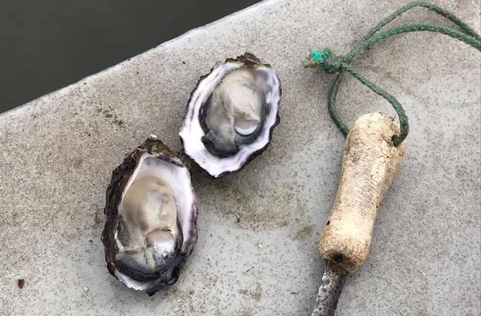 The Best Spots To Down A Dozen Oysters In Brisbane URBAN LIST BRISBANE