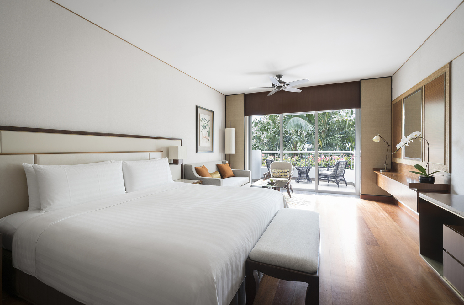 Budget Accommodation