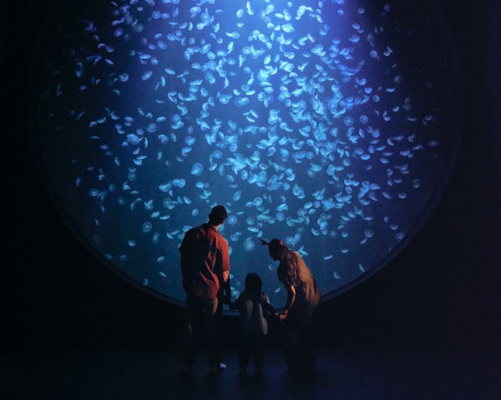 Singapore Oceanarium