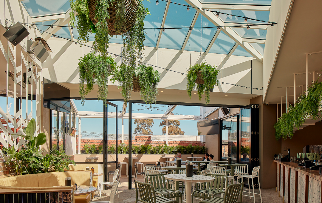 A rooftop bar Melbourne space with lots of sunlight and hanging plants. 