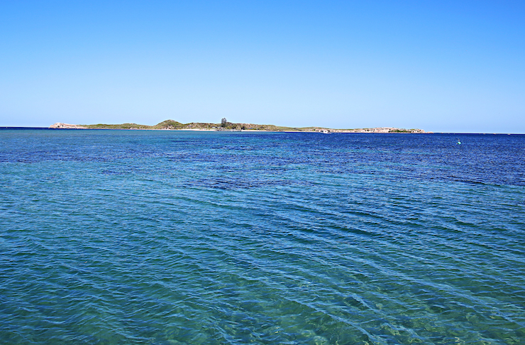 Snorkelling Spots Perth