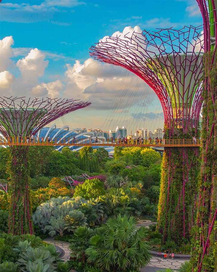 Gardens by the bay
