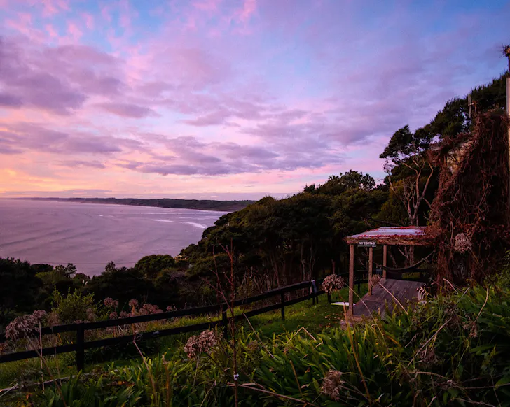 An incredible purple sunset from Solscape, one of the best camping spots in Raglan. 