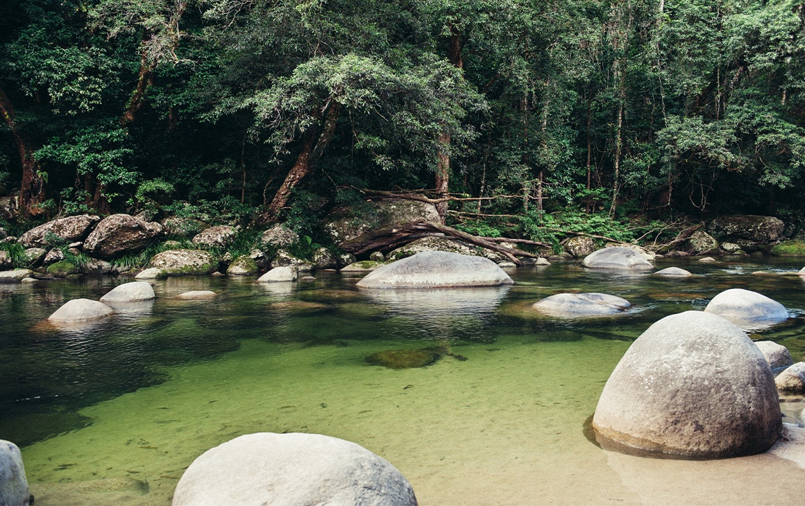 Clear creek fringed by rainforest, with granite boulders in the water